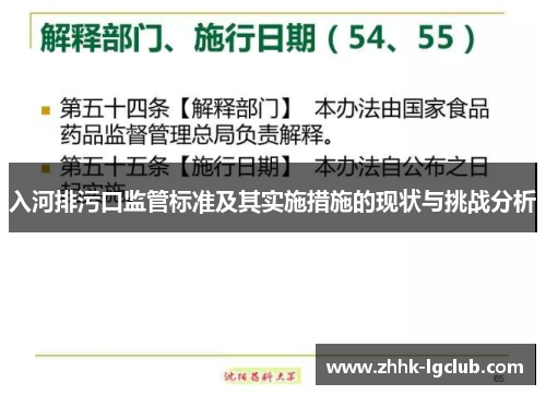 入河排污口监管标准及其实施措施的现状与挑战分析