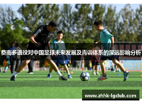 费南多退役对中国足球未来发展及青训体系的深远影响分析 费南多退役对中国足球未来发展及青训体系的深远影响分析